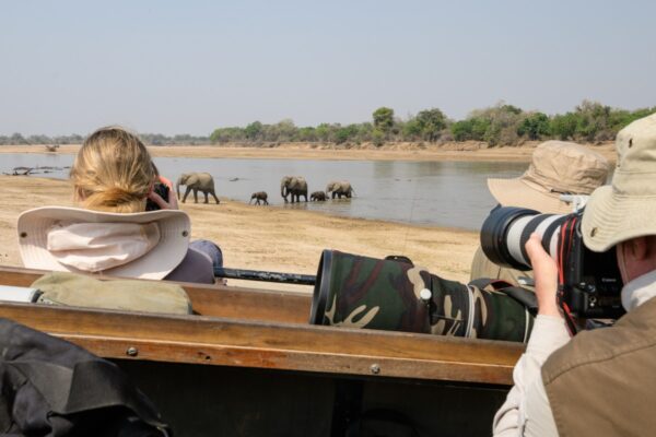 Auf Safari – in unmittelbarer Nähe durchqueren Elefanten den Fluss