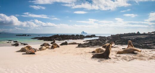 Die Galapagos-Inseln - Robben schlafen am Strand 2021 | Erlebnisrundreisen.de