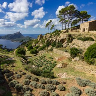 Blick auf die Insel Sa Dragonera auf Mallorca 2021 | Erlebnisrundreisen.de
