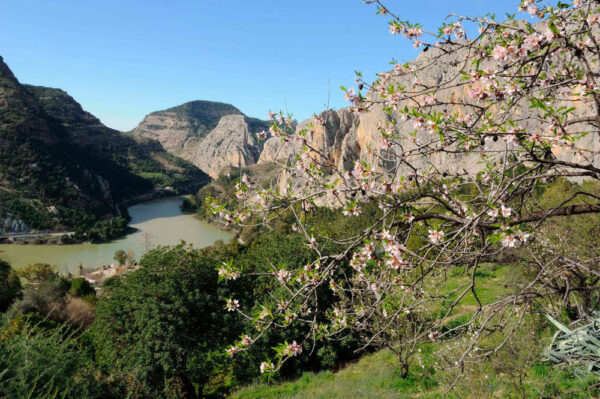 in der Sierra de Huma - DiputacióndeMálaga - © Diputación de Málaga