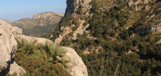 Wanderung am Cap Formentor - Michael Ahrens