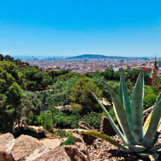 Ausblick im Park Güell - Maxim Podobed