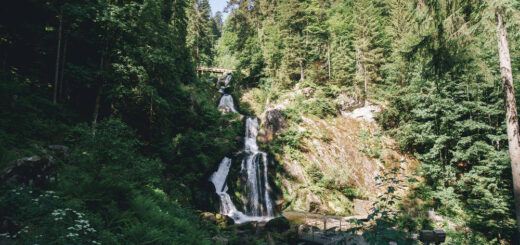 Triberger Wasserfall - Chris Keller - © Schwarzwald Tourismus GmbH / Chris Keller