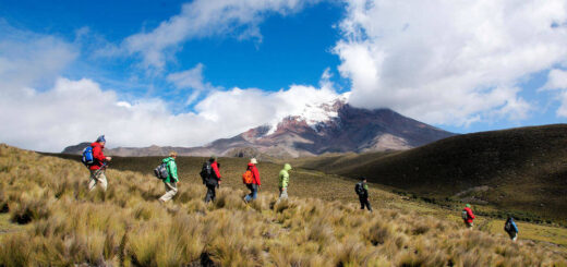 Wanderung am Chimborazo - Wolfgang Zahn - © Foto: fotografik Zahn