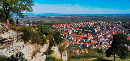 Blick auf Bad Dürkheim - Peter Bartel