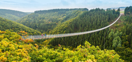 Die Hängeseilbrücke Geierlay im Hunsrück - Dominik Ketz - Dominik Ketz / Rheinland-Pfalz Tourismus GmbH