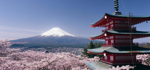 Fuji zur Kirschblüte - JF Tours - © JF Tours