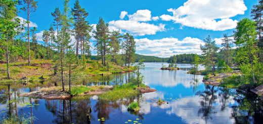 Värmland - Reinhard Pantke - © Reinhard Pantke