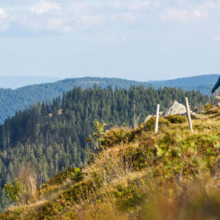 Wanderung auf dem Schwarzwaldgipfel Herzogenhorn - Hochschwarzwald Tourismus GmbH - © Hochschwarzwald Tourismus GmbH