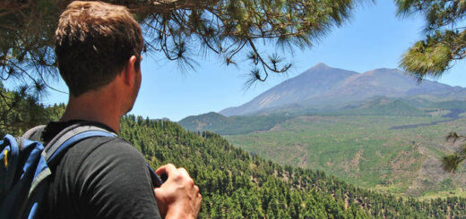 Blick auf den Teide - Melanie Rood