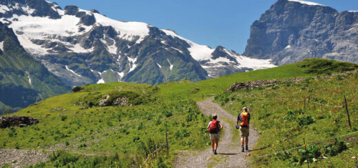 Wanderung auf Fürenalp