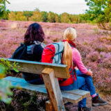 Die Lüneburger Heide in Blüte - TourismusMarketing Niedersachsen GmbH - © ToruismusMarketing Niedersachsen GmbH