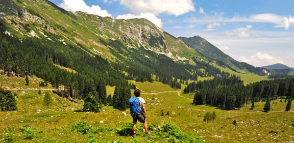 Wandern im Nationalpark Berchtesgaden - Darek Wylezol