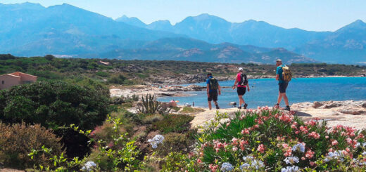 Küstenwanderung bei Calvi - Sabine Lange