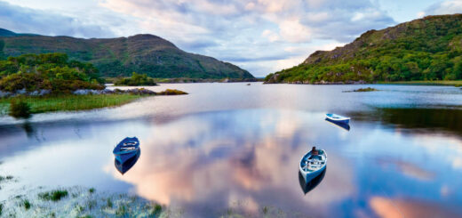 Killarney Nationalpark - Tiramisu Studio