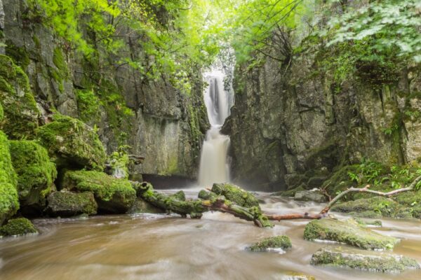 Wasserfall im tiefen Wald - Catrigg Force