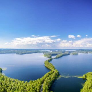 Finnland – Finnland: Wälder