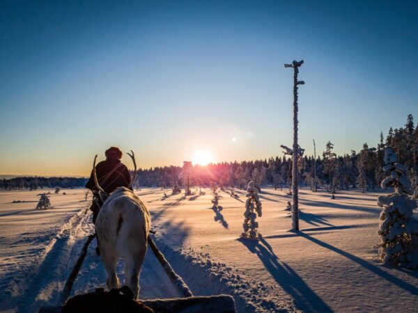 Mit der Saami-Familie unterwegs