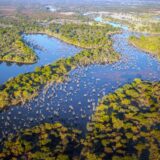 Vom Okavangodelta zu den Viktoriafällen