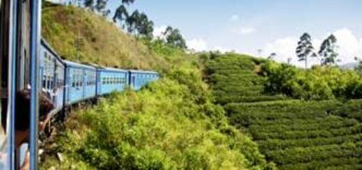 Vielfältige Rundreise in 17 Tagen zu den Höhepunkten Sri Lankas Young Traveller