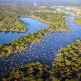 Botswana deutschsprachig gefuehrte Studienreisen 2025  | Tinta Tours Erlebnisreisen
