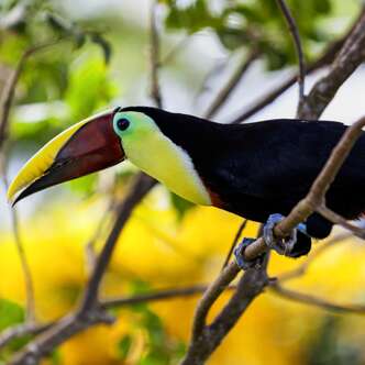 Costa Rica Rundreisen junge Leute 2024