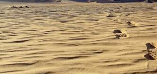 Jordanien deutschsprachig gefuehrte Studienreisen 2025  | Tinta Tours Erlebnisreisen