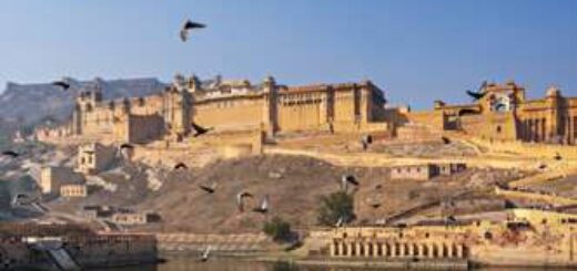 Rajasthan deutschsprachig gefuehrte Studienreisen 2025  | Tinta Tours Erlebnisreisen