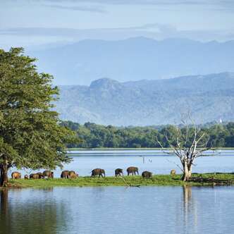 Sri Lanka deutschsprachig gefuehrte Studienreisen 2025  | Tinta Tours Erlebnisreisen