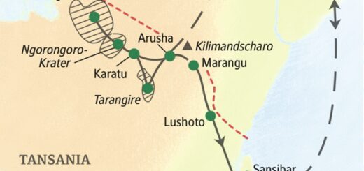 Die weltberühmten Nationalparks Tansanias 2025