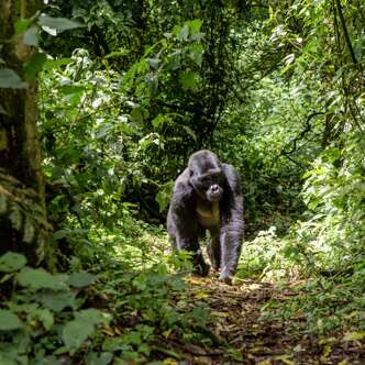 Uganda deutschsprachig gefuehrte Studienreisen 2025  | Tinta Tours Erlebnisreisen
