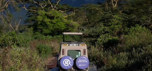 Südafrika Gruppenreise | Tinta Tours Erlebnisreisen