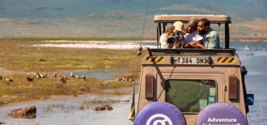 Südafrika Gruppenreise | Tinta Tours Erlebnisreisen