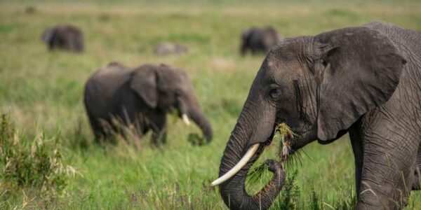 Uganda Erlebnisreise | Tinta Tours Erlebnisreisen
