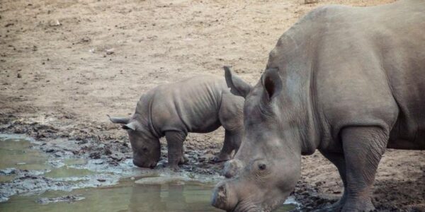 Botswana Erlebnisreise | Tinta Tours Erlebnisreisen