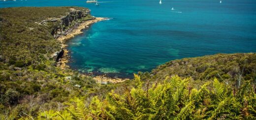 Australien Gruppenreise | Tinta Tours Erlebnisreisen