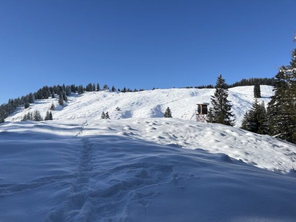 Schneeschuhwandern-im-idyllischem-Obernbergtal-3