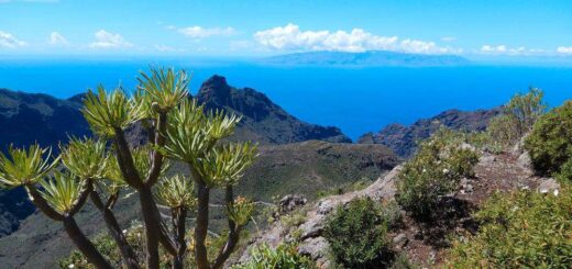 Blick auf die Nachbarinsel La Gomera - Janina Reso