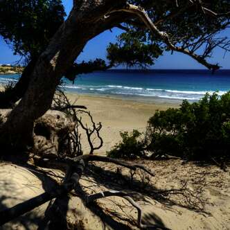 Zehntägiges Island Hopping in der Ägäis: von Athen nach Naxos und Ios Young Traveller