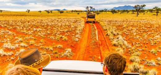 Rundreise Namibia und Südafrika 2024 / 2025 | Erlebnisrundreisen.de