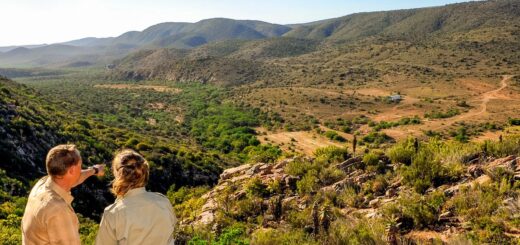 Rundreise Südafrika 2024 / 2025 | Erlebnisrundreisen.de