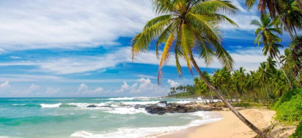 20 Tage Erlebnis-Reise Asien und Ozeanien Sri Lanka 2024/ 2025 | Erlebnisrundreisen.de