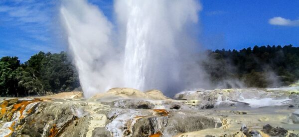 Pohutu Geysir in Rotura