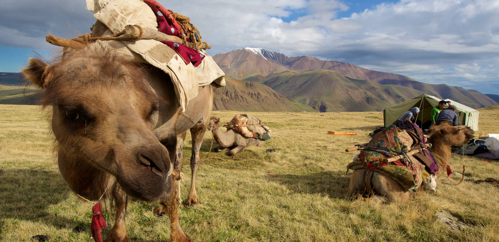 Camp im Turgen-Gebirge - Darek Wylezol | Mongolei Abenteuerurlaub | Erlebnisrundreisen.de