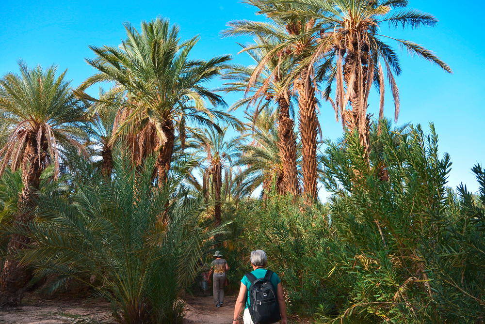 Tata Palmenhain - Nicole Kuhn | Marokko Abenteuerurlaub | Erlebnisrundreisen.de