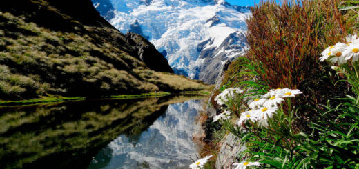 Mount - Cook NP - Berrin Isufova-Richter | Neuseeland Abenteuerurlaub | Erlebnisrundreisen.de
