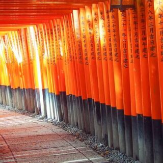 Active Japan: Kyoto to Tokyo Island Hopping