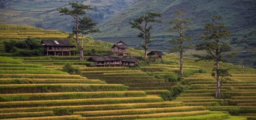 Vietnam Gruppenreise | Tinta Tours Erlebnisreisen