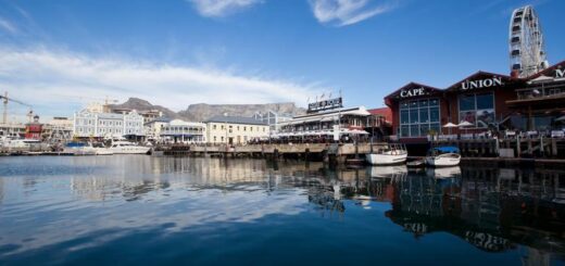Südafrika Gruppenreise | Tinta Tours Erlebnisreisen