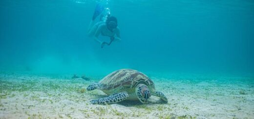 Philippinen Gruppenreise | Tinta Tours Erlebnisreisen